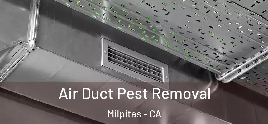 Air Duct Pest Removal Milpitas - CA