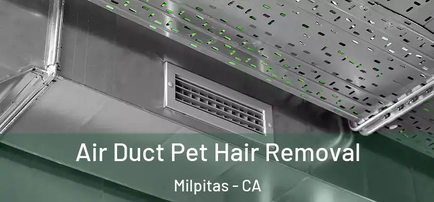 Air Duct Pet Hair Removal Milpitas - CA