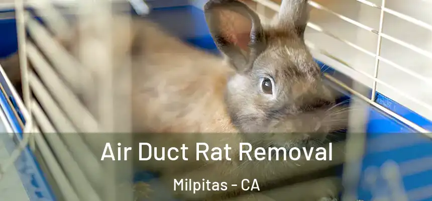 Air Duct Rat Removal Milpitas - CA