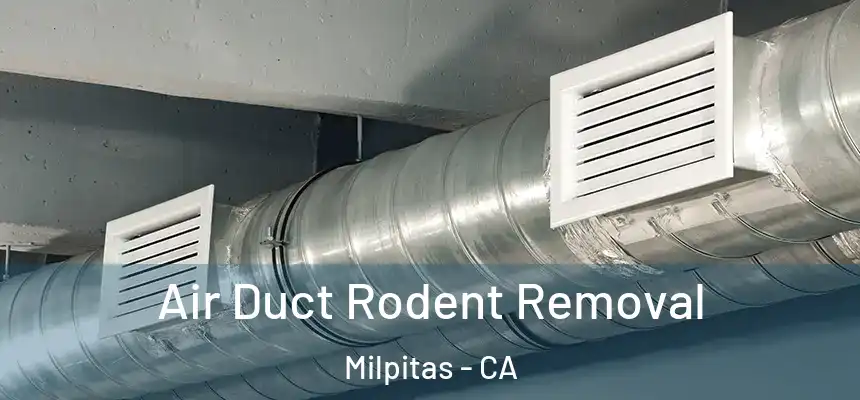  Air Duct Rodent Removal Milpitas - CA