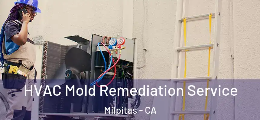 HVAC Mold Remediation Service Milpitas - CA
