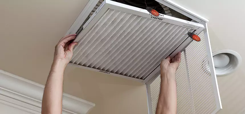 Preventive Cockroach-Proofing for Ducts in Milpitas