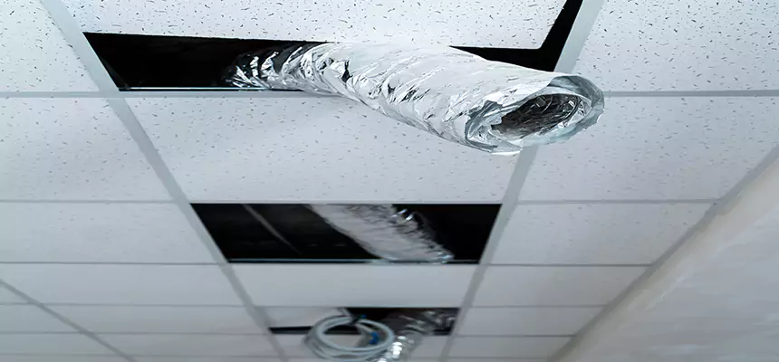 Affordable HVAC Sanitizing After Pest Removal in Milpitas