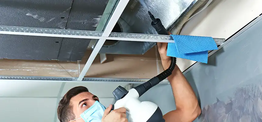 Our Air Duct Rodent Removal Services in Milpitas, CA