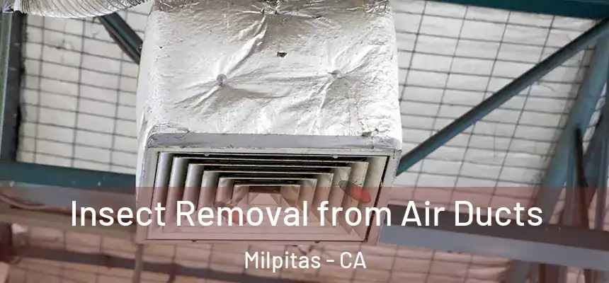 Insect Removal from Air Ducts Milpitas - CA