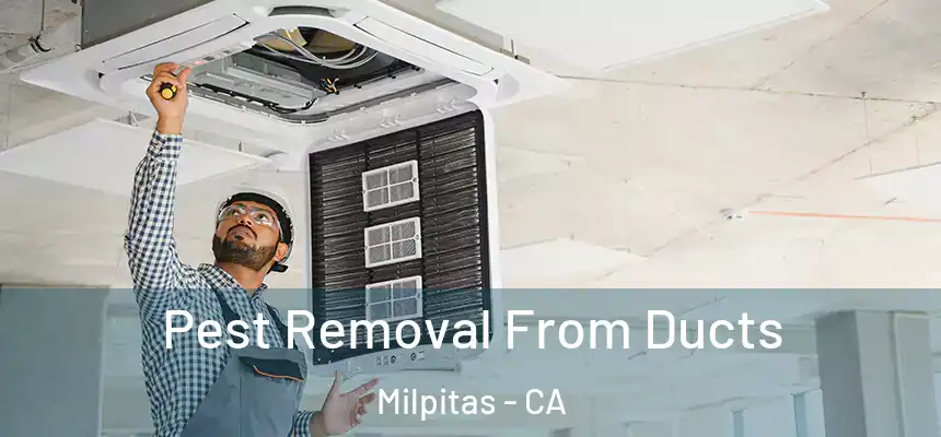 Pest Removal From Ducts Milpitas - CA