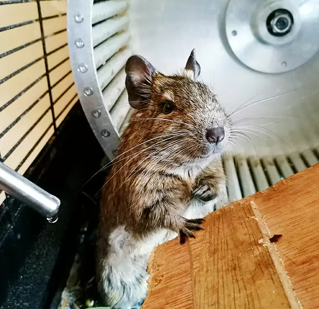 Why Homeowners & Businesses Trust Us Milpitas, CA