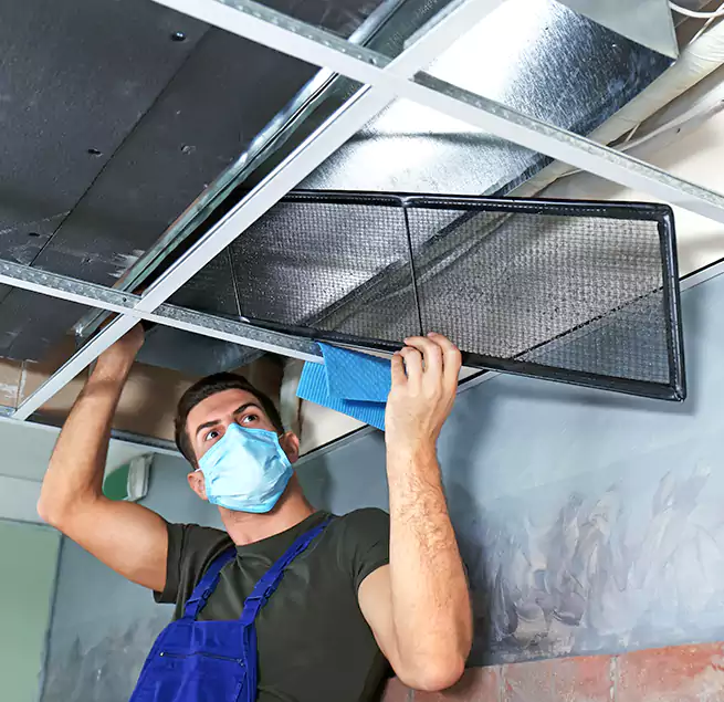 Why Homeowners Businesses Trust Us in Milpitas, CA