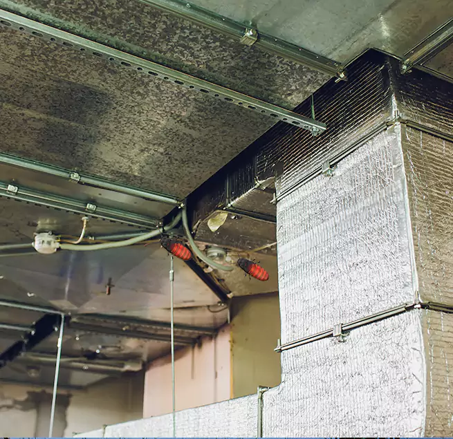 Why Homeowners & Businesses Trust Us Milpitas, CA?